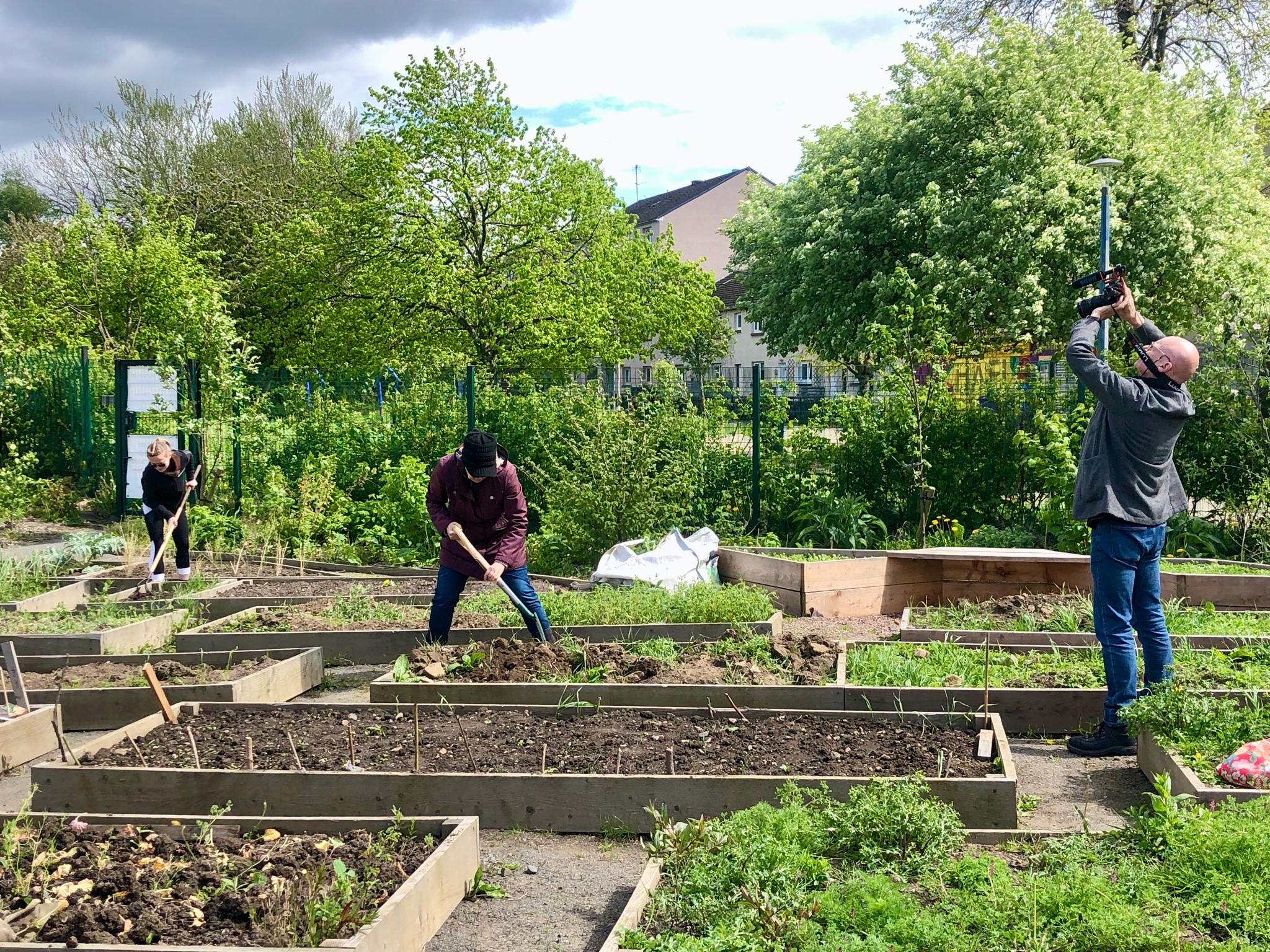 The Positive Impact of Community Gardening: How Our Projects Benefit ...